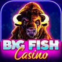 Big Fish Casino – Slots Games app icon