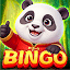 Bingo Panda: Win Real Cash