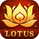 Teen Patti Lotus - RummyApps